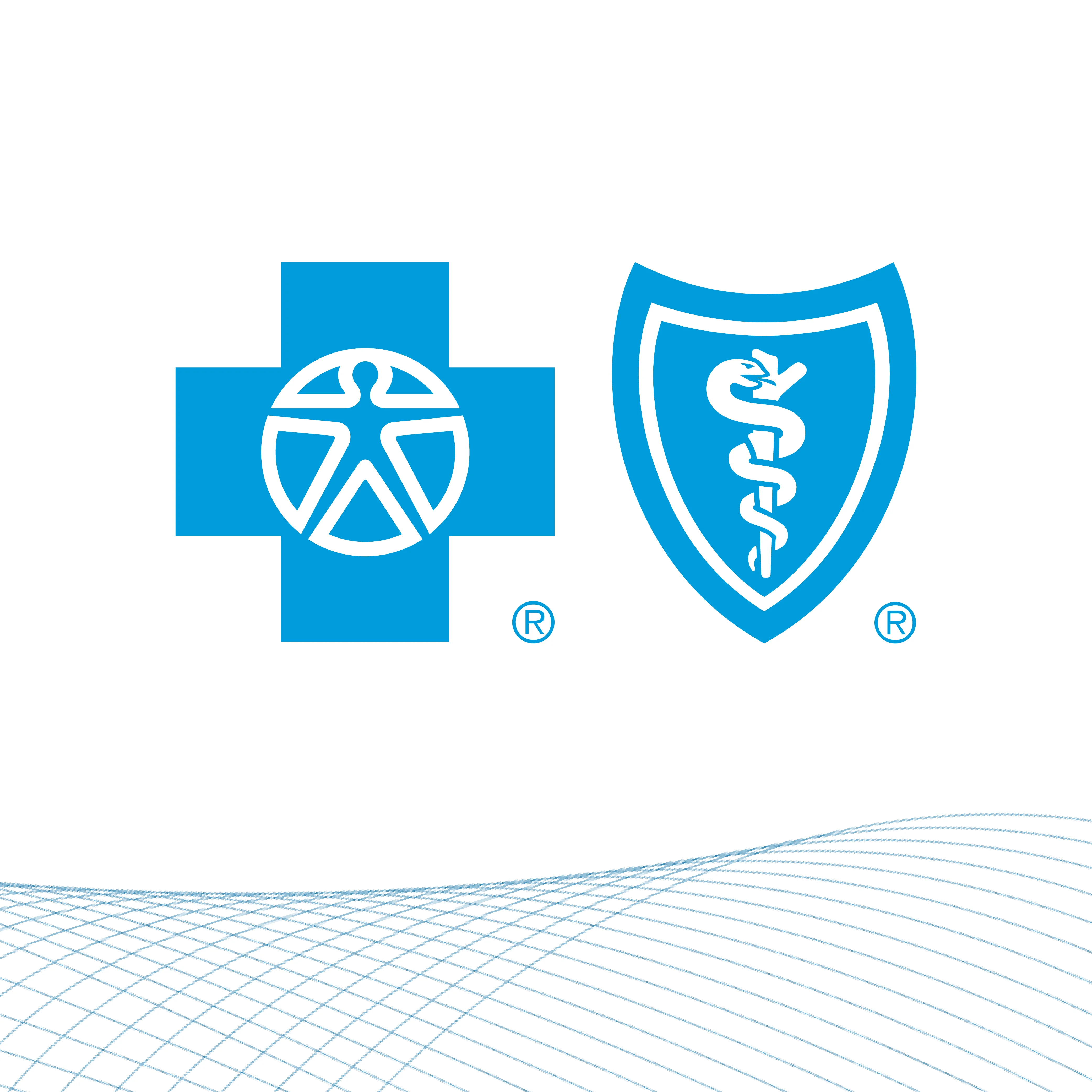 Go to Blue Cross Blue Shield Association Statement on Friend-of-Court Brief Filed in Texas et al. v United States et al.